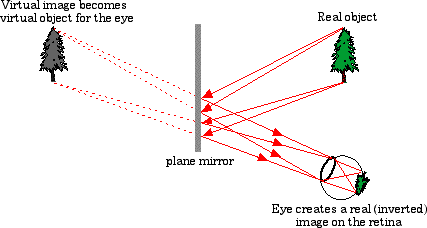 Brain Busters Mirrors Lenses Etc, Convex Mirrors Can Produce Both Upright And Inverted Images